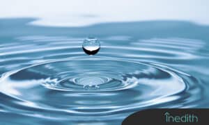 Transparencia en comisiones